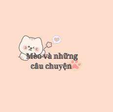 Mèo và những câu chuyện