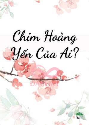 Chim Hoàng Yến Của Ai?