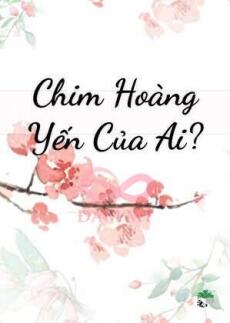 Chim Hoàng Yến Của Ai?